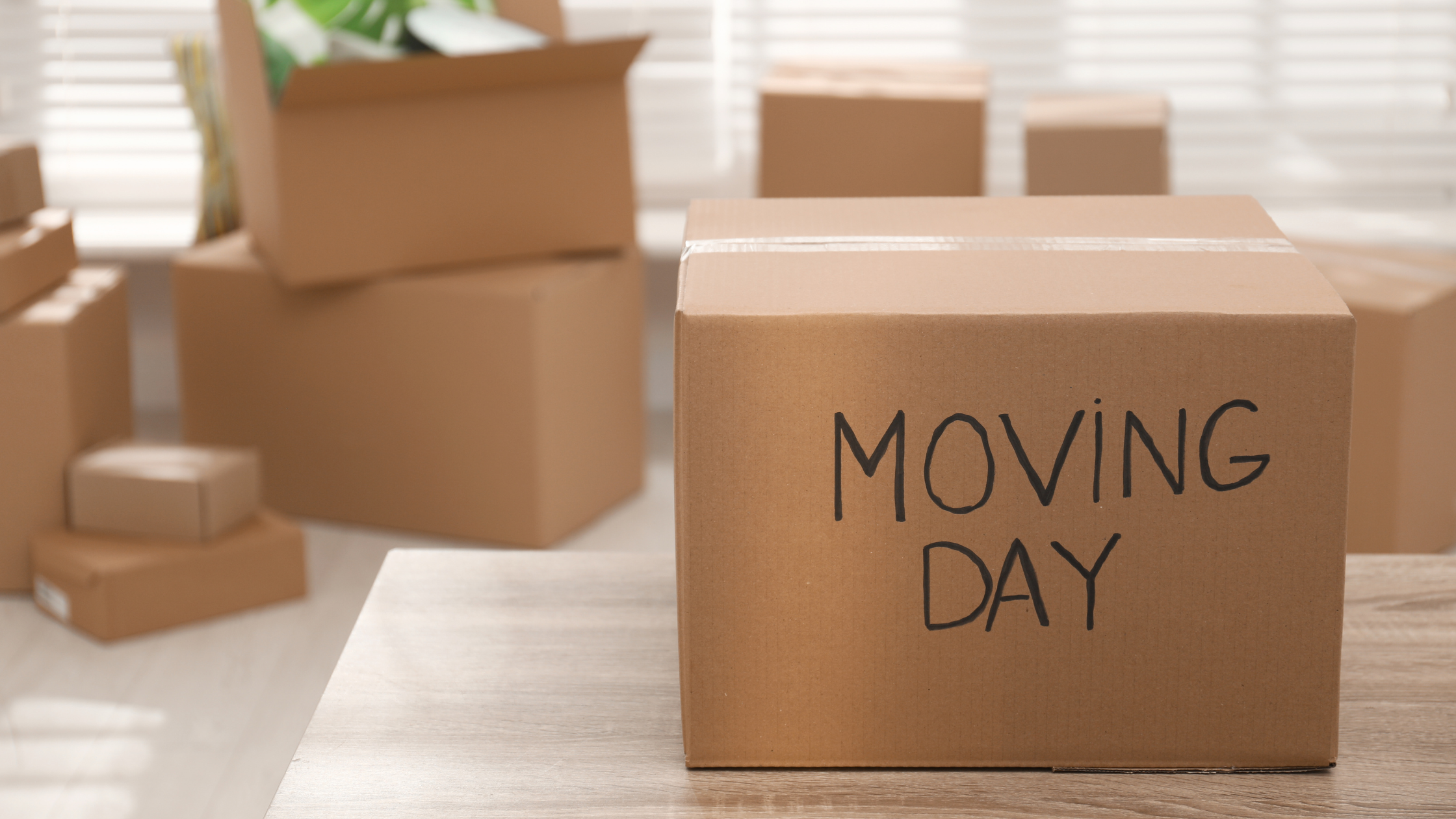 What To Know Before Moving Day