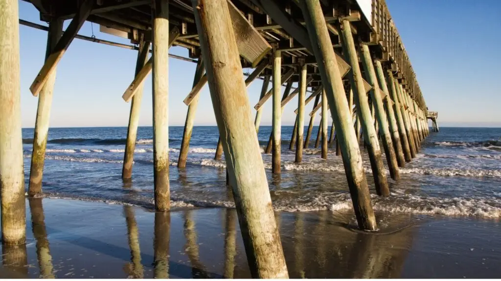 Movers in Surfside Beach, SC